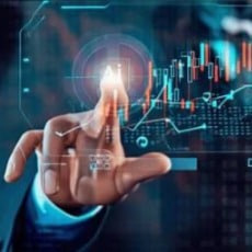 7cb037bd-04a3-11f0-a214-0242ac120002